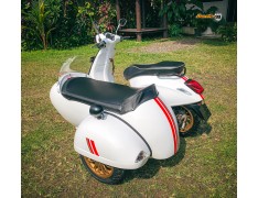 Sidecar Kit White Red Stripe Edition